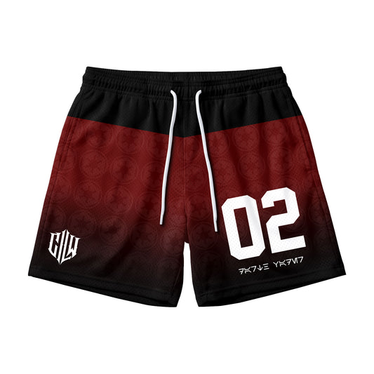Limited Edition | SW: Darth Vader S3 Mesh Shorts