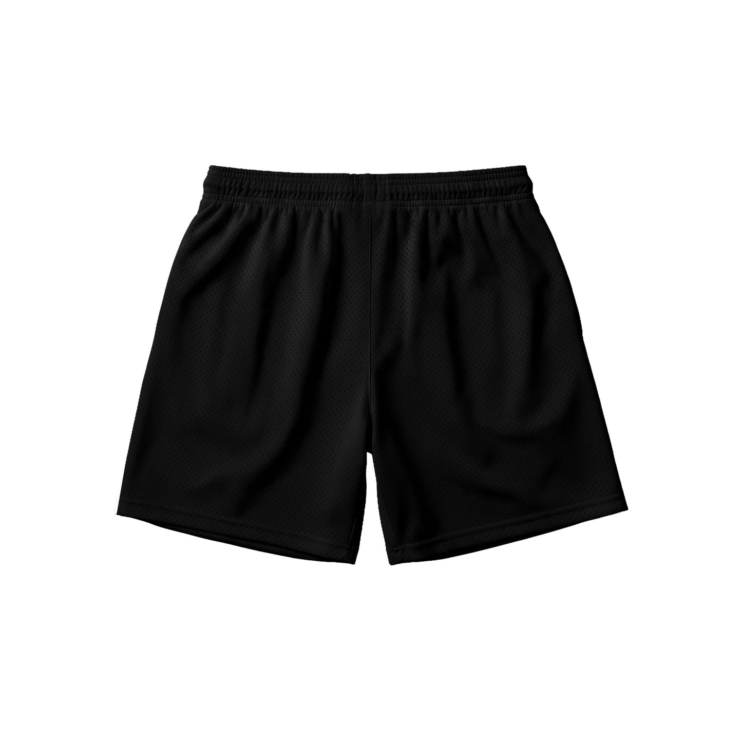 DC | The Flash S1 Mesh Shorts